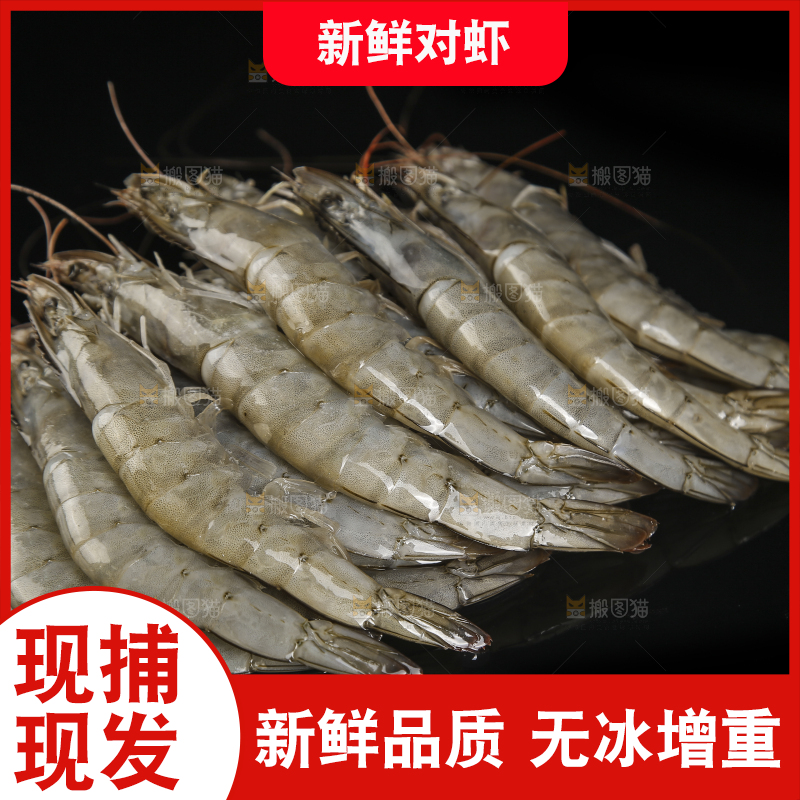 黑底上放着青岛大虾