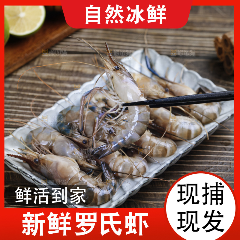 筷子上夹着罗氏虾