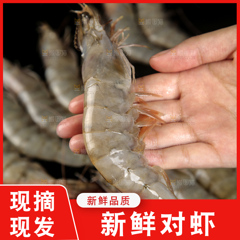 手上拿着南美对虾