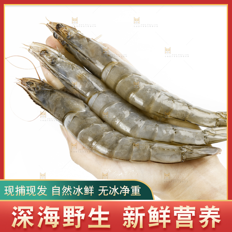 手上拿着新鲜对虾