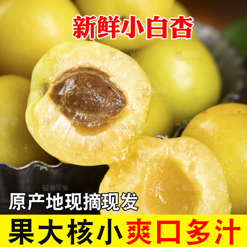 新鲜的新疆小白杏