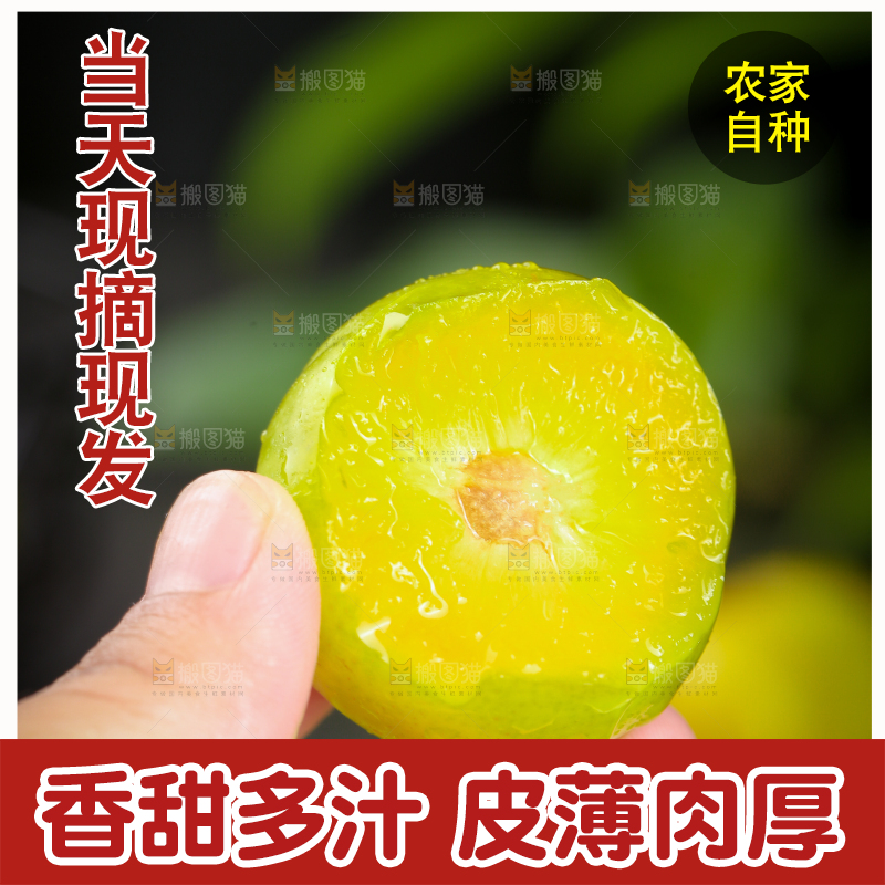 手上拿着蜂糖李