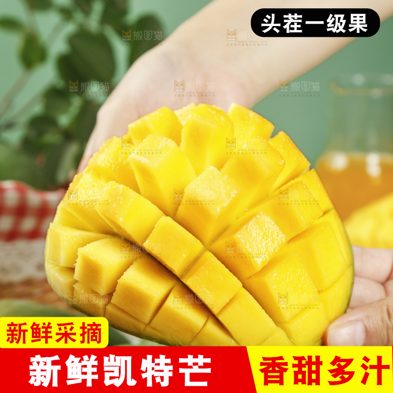 手上拿着凯特芒