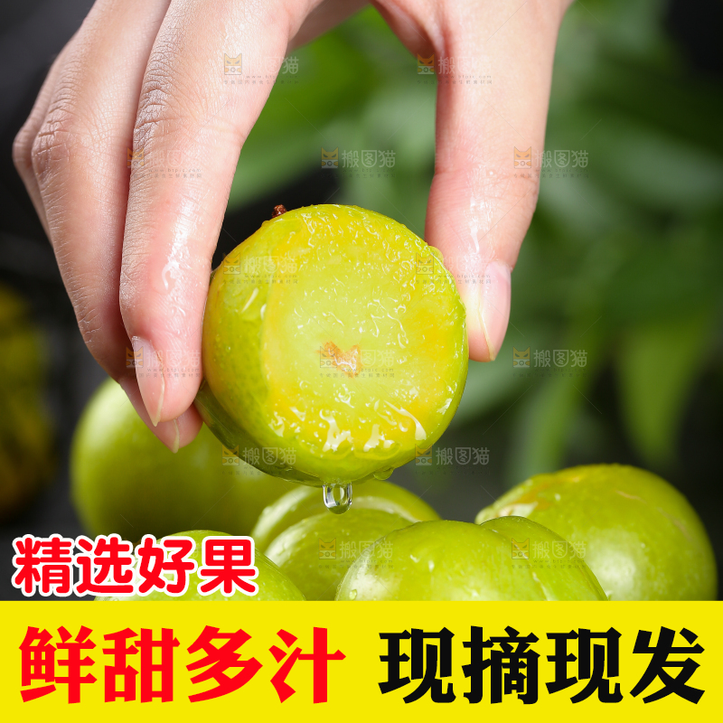 手上拿着蜂糖李