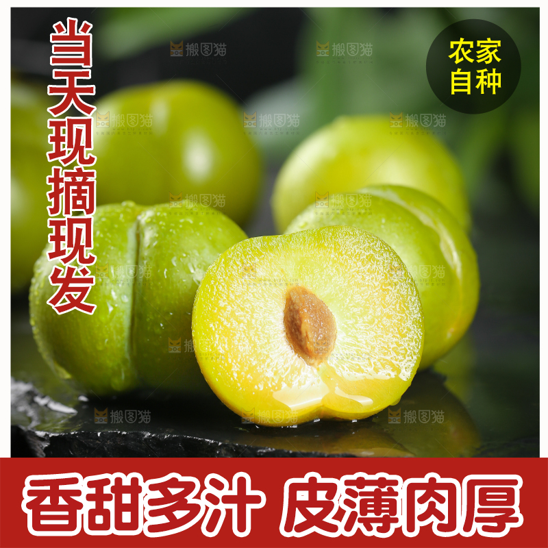 黑底上放着蜂糖李