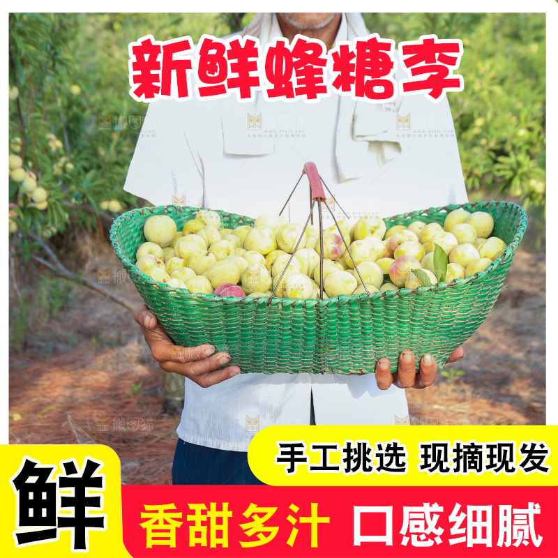 农民手上抱着一篮蜂糖李