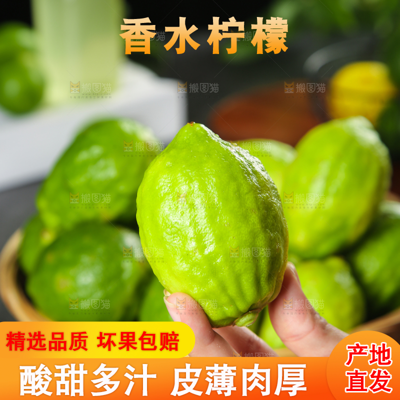 手上拿着香水柠檬