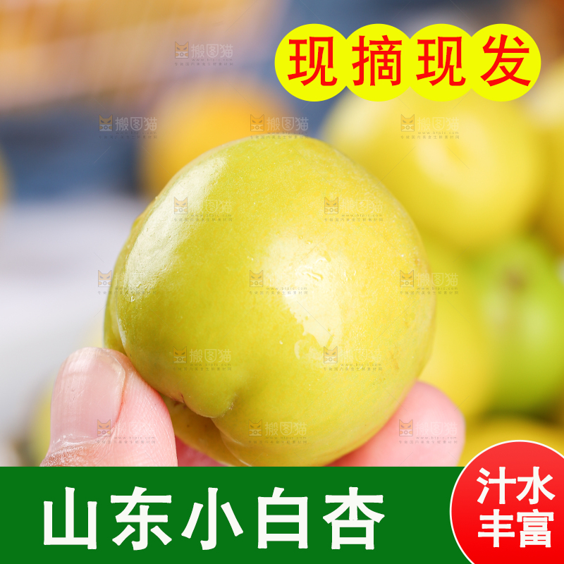 手上拿着小白杏