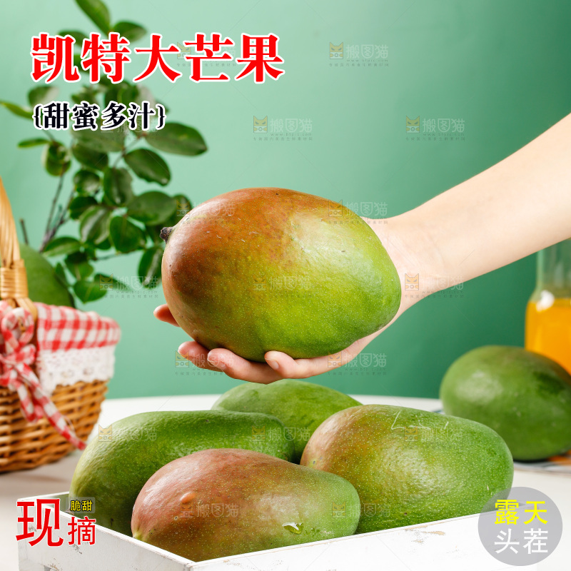 手上拿着凯特芒