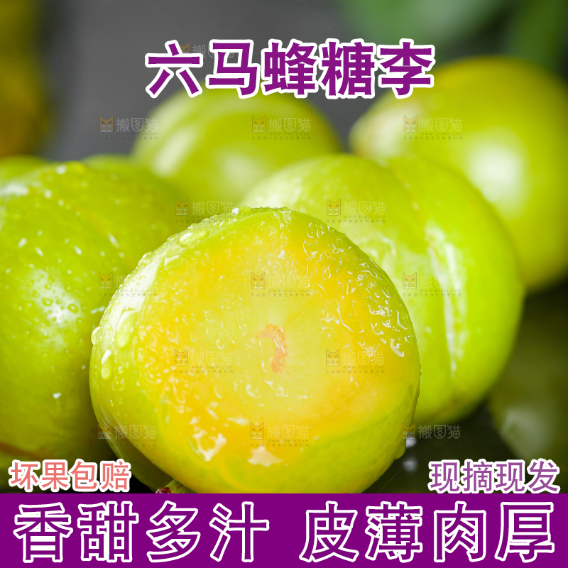 黑底上放着蜂糖李