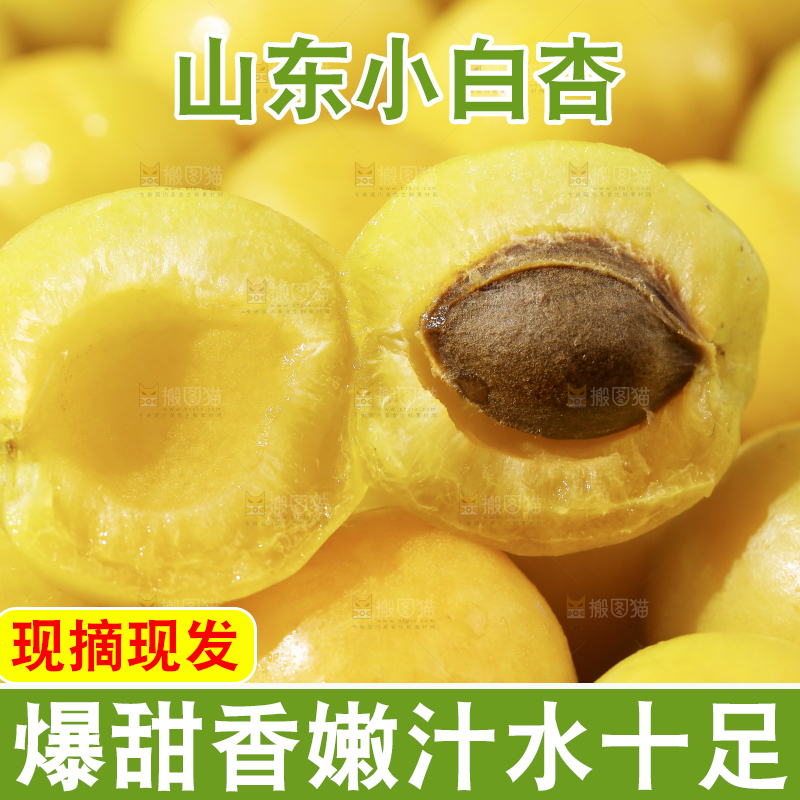 一堆新疆小白杏