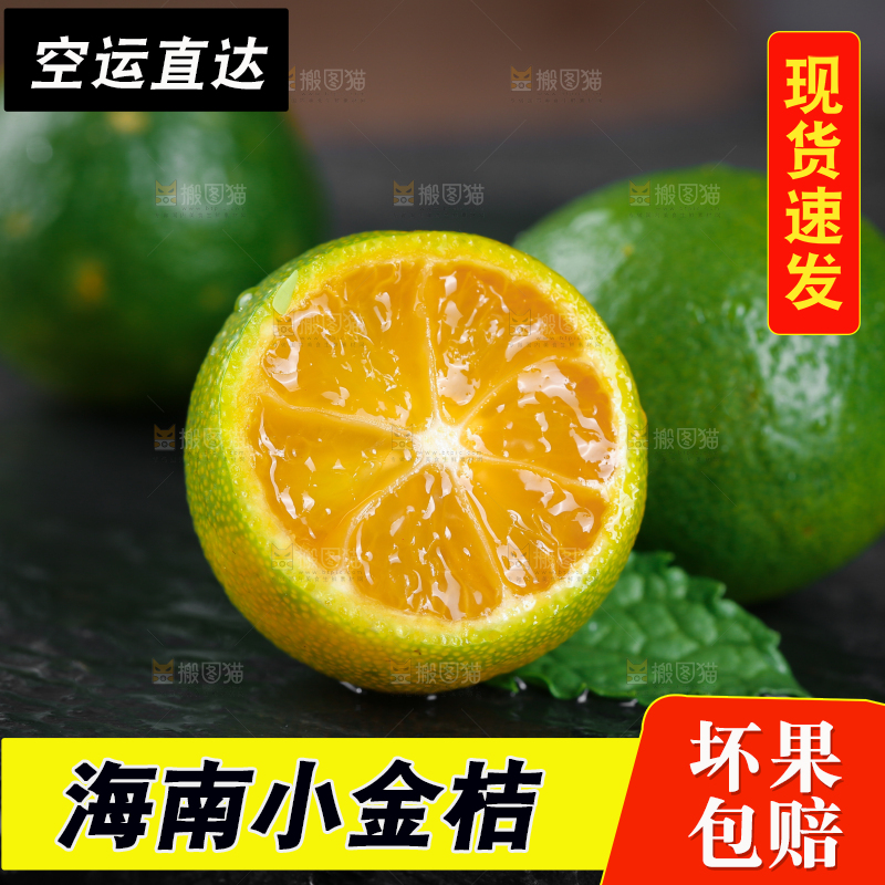 黑底上放着小金桔