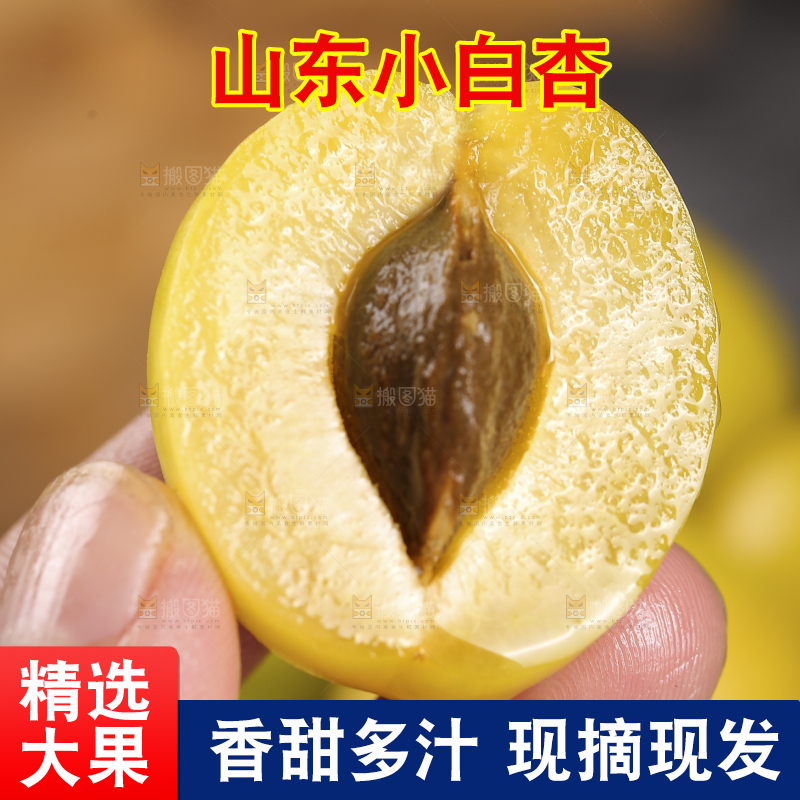 手上拿着的小白杏