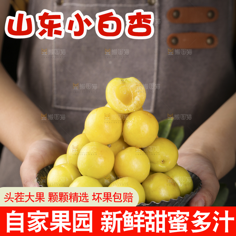 手上端着一盘新疆小白杏