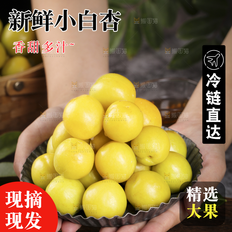 手上端着一盘新疆小白杏