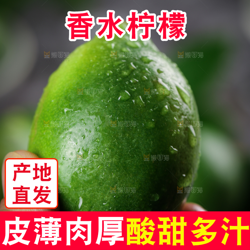 手上拿着香水柠檬