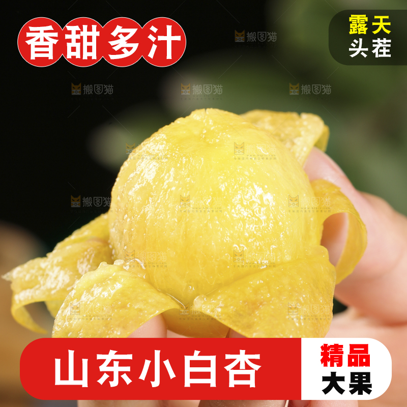 手上拿着的小白杏