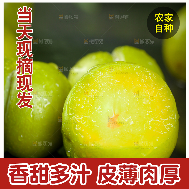 黑底上放着蜂糖李