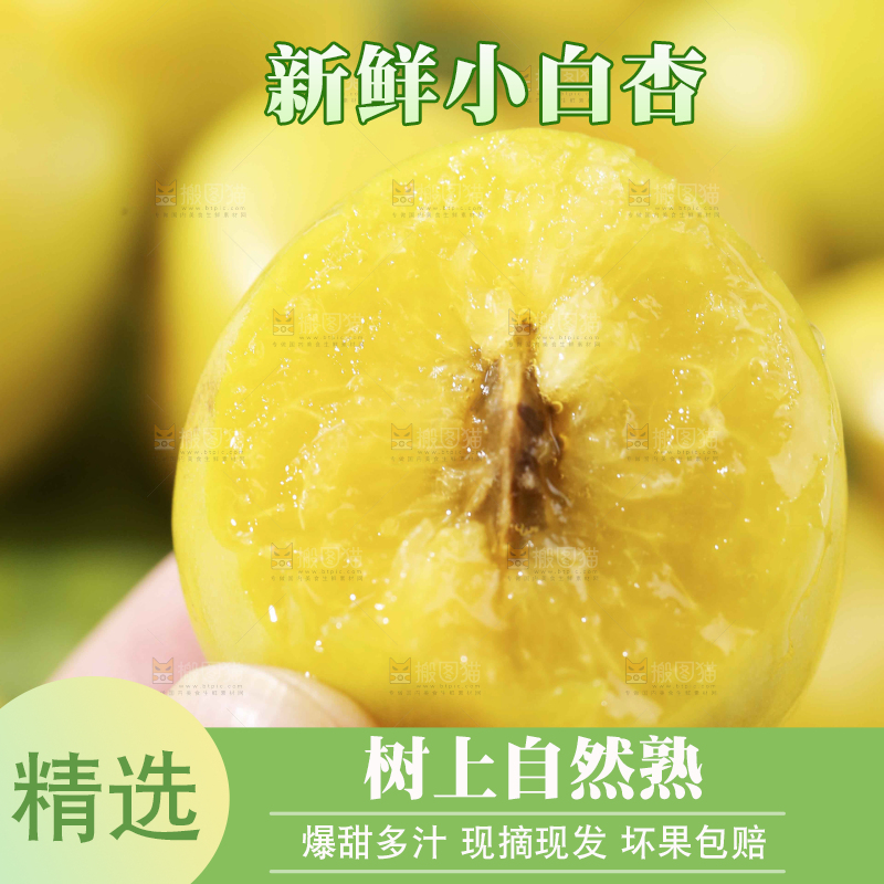 手上拿着的小白杏