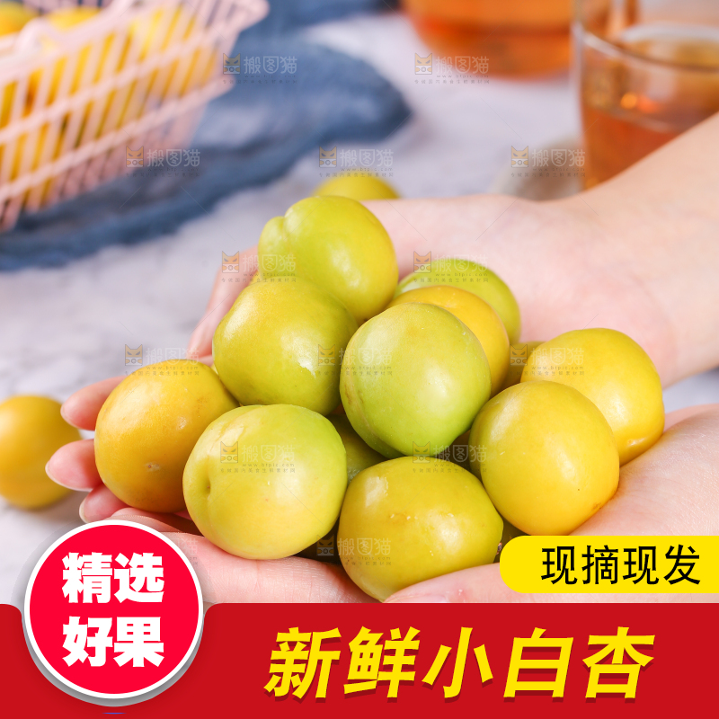 手上捧着小白杏