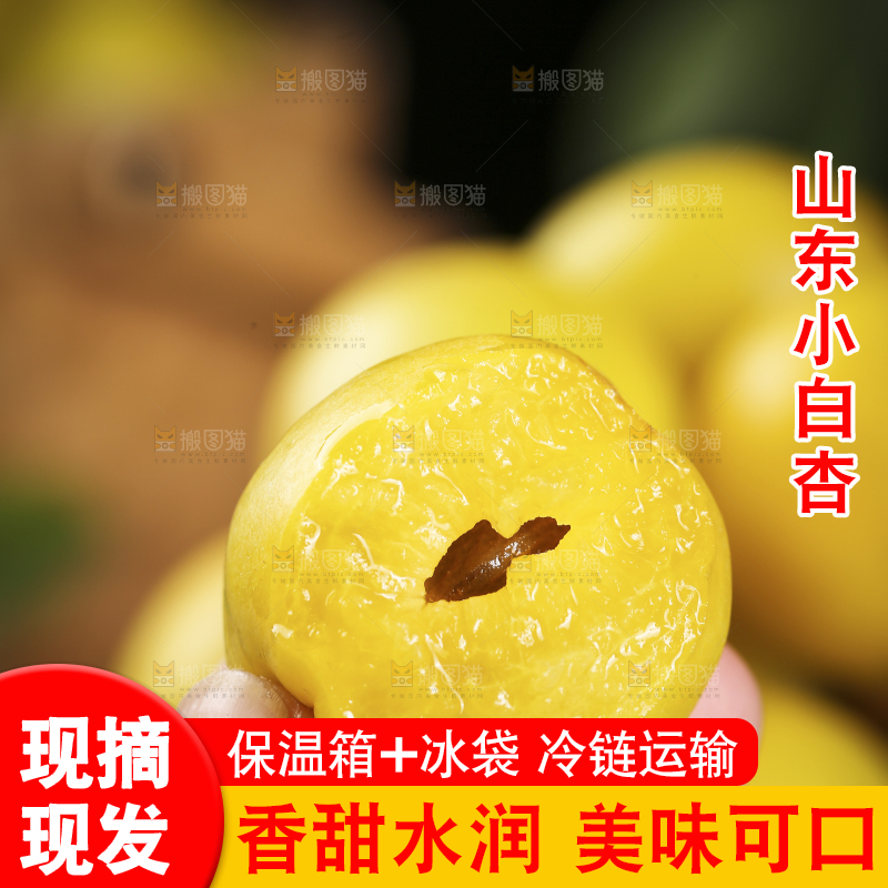 手上拿着的小白杏