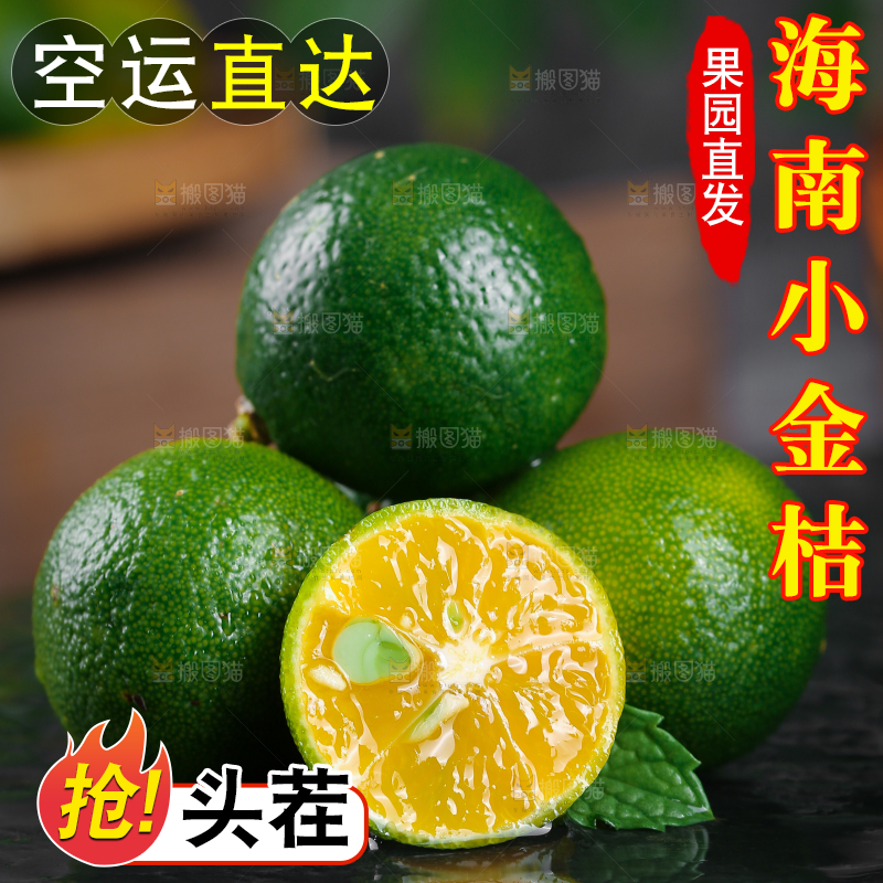 黑底上放着小金桔