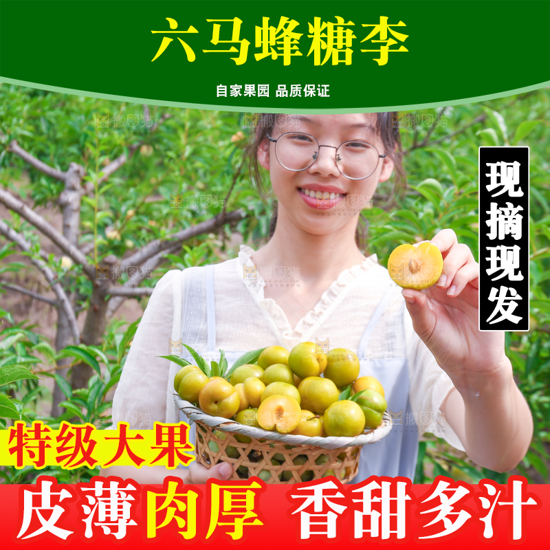 女孩手上拿着一筐冰糖李