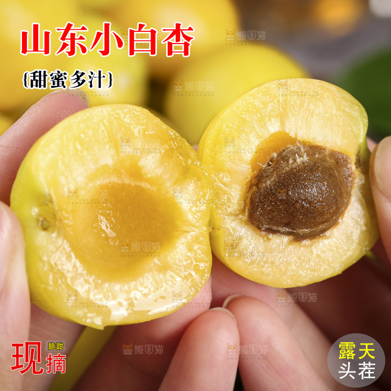 手上拿着的小白杏