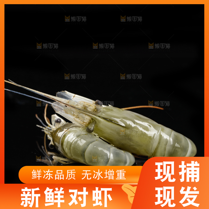 黑底上放着大虾