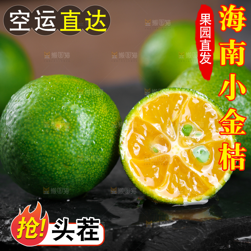 黑底上放着小金桔