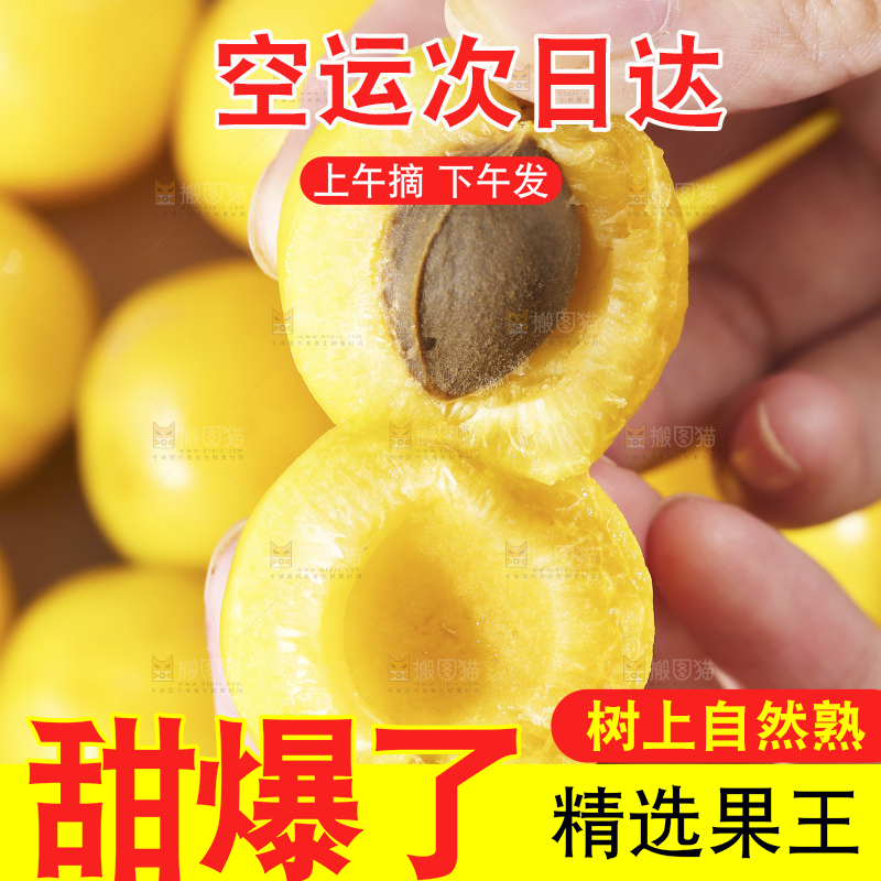 手上拿着的小白杏
