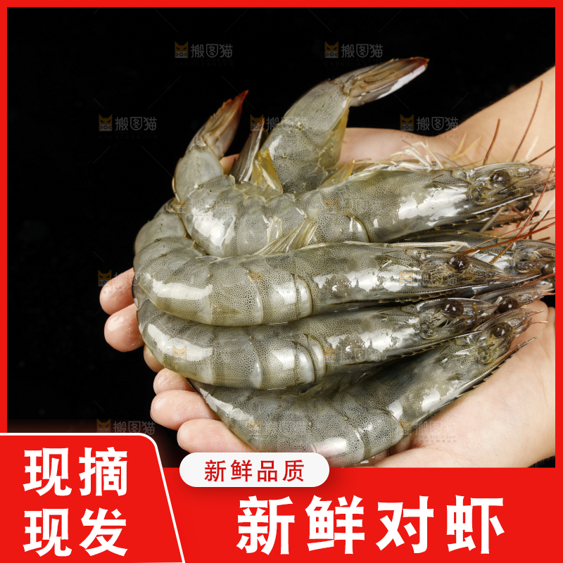 手上捧着新鲜对虾