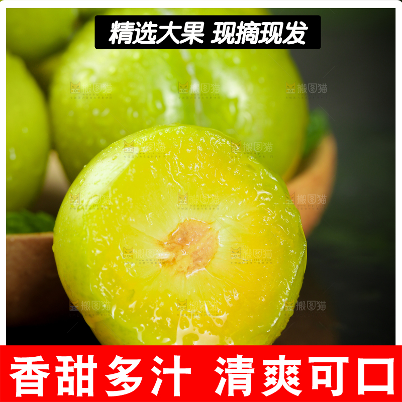黑底上放着蜂糖李