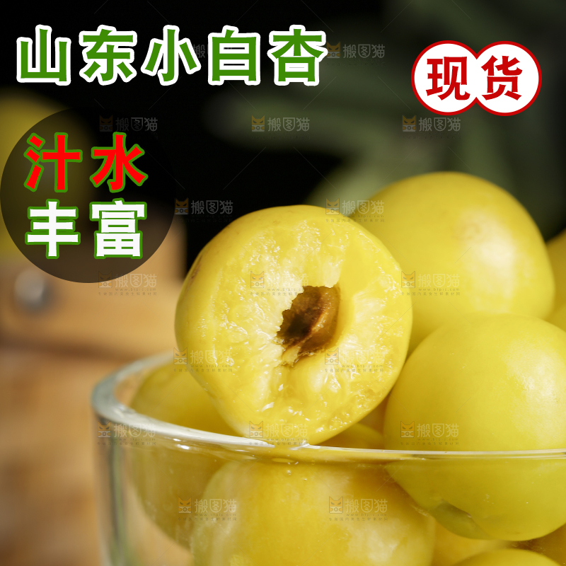 杯子里装着新疆小白杏