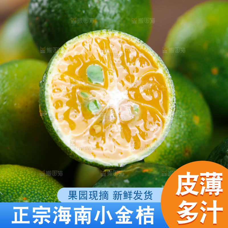 新鲜的小金桔
