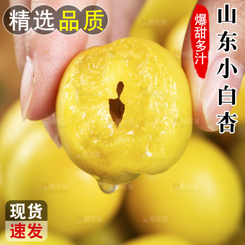 手上拿着的小白杏