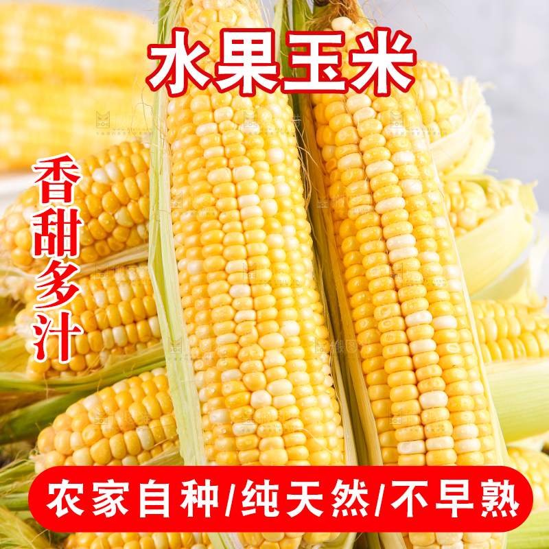白底上放着一篮水果玉米