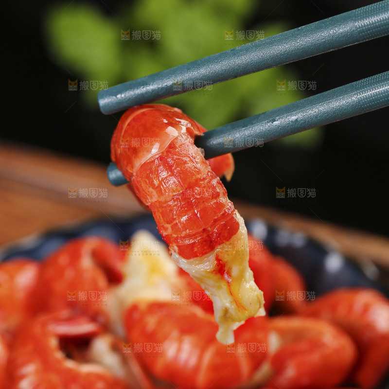 筷子上夹着龙虾尾