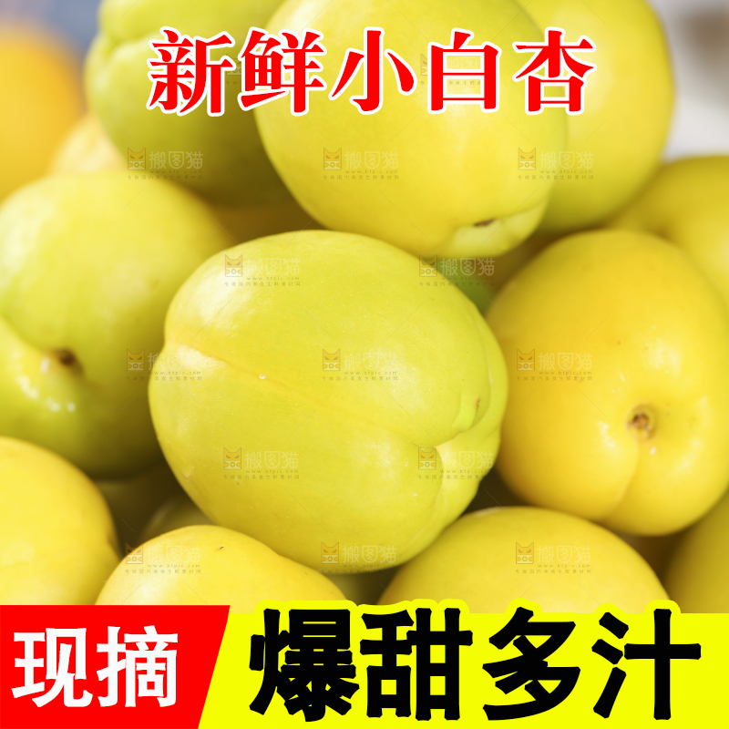 白底上放着一盘小白杏
