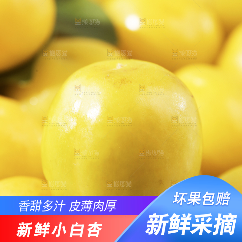 一堆新疆小白杏