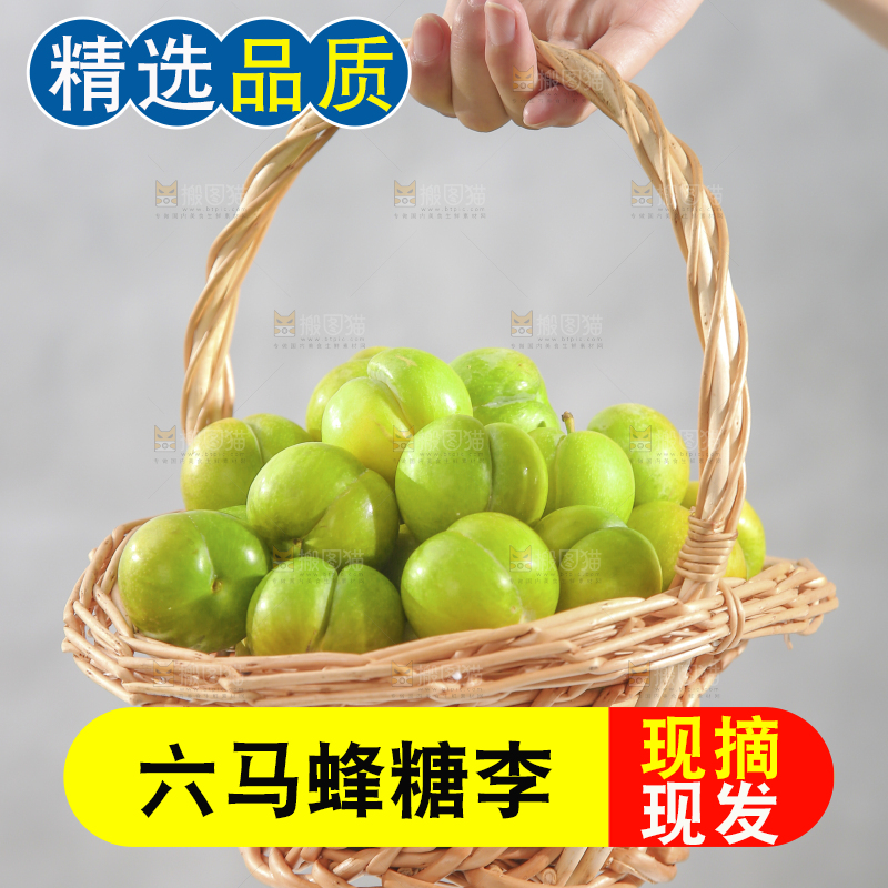 手提着一筐蜂糖李