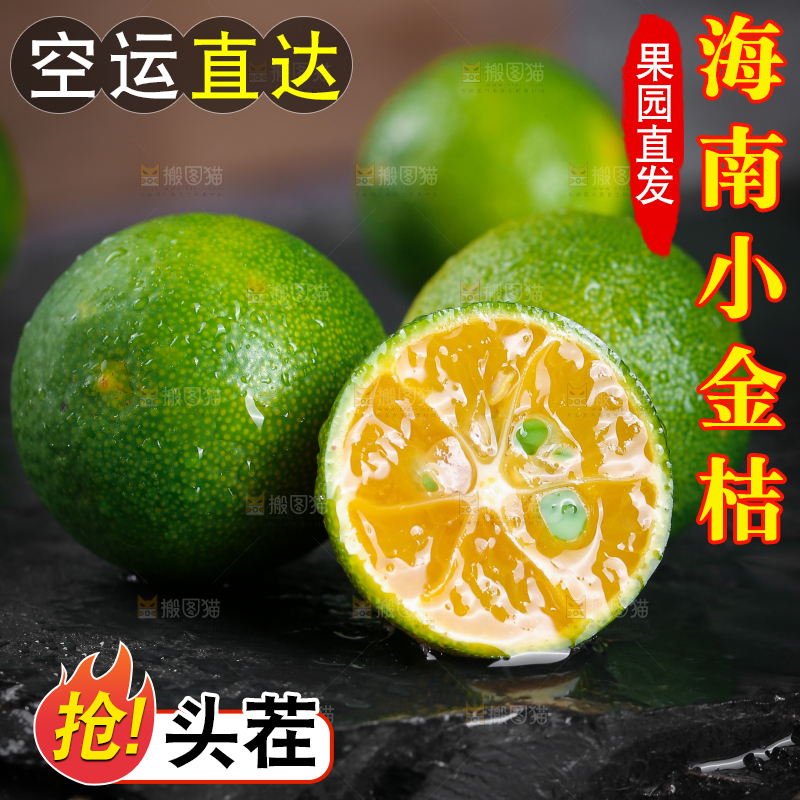 黑底上放着小金桔