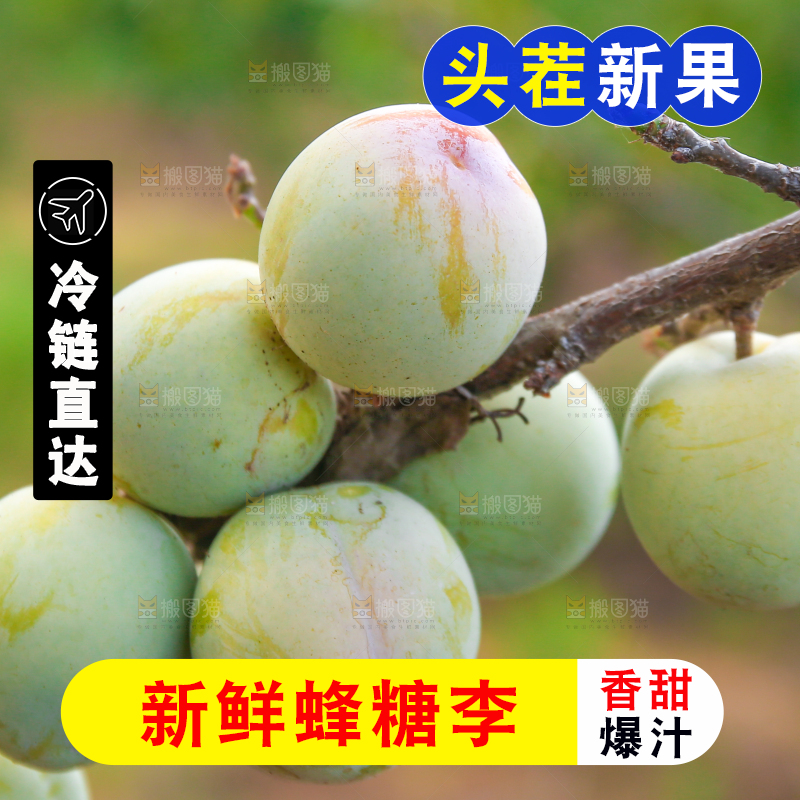 树上结的蜂糖李