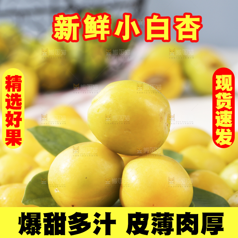 一堆新疆小白杏