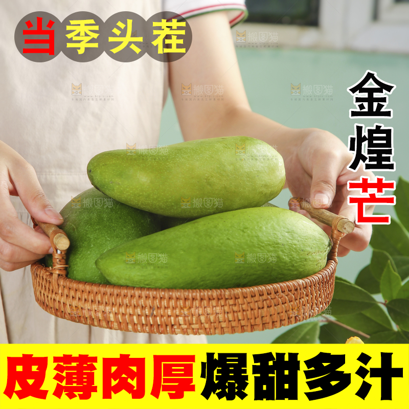 手上端着一篮金煌芒