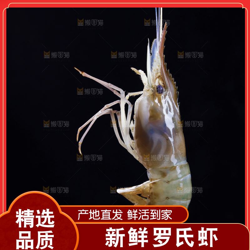 黑底上放着罗氏虾