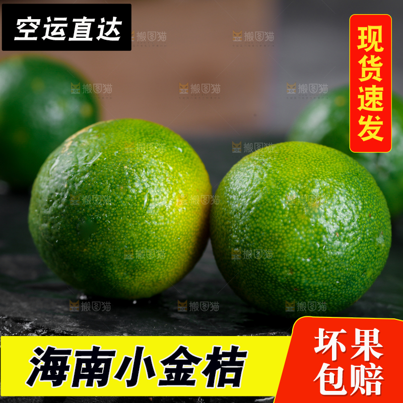 黑底上放着小金桔