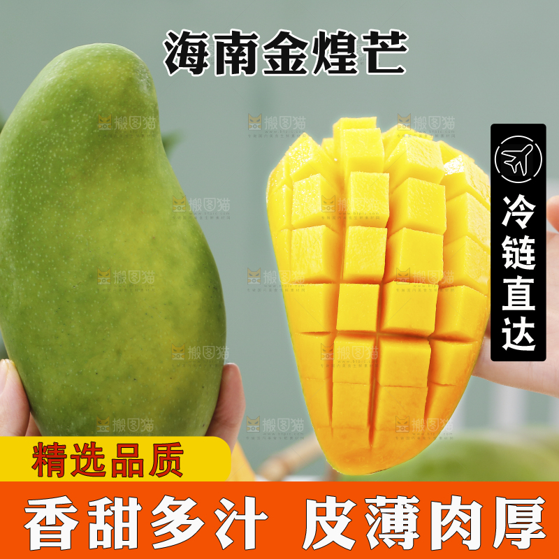手上拿着切开金煌芒果肉