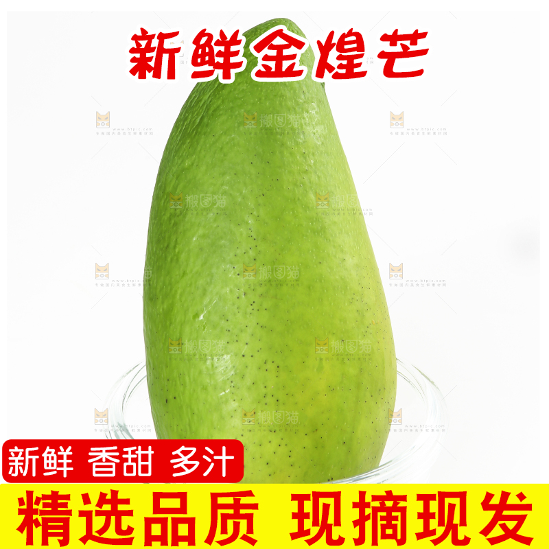 白底上放着水仙芒