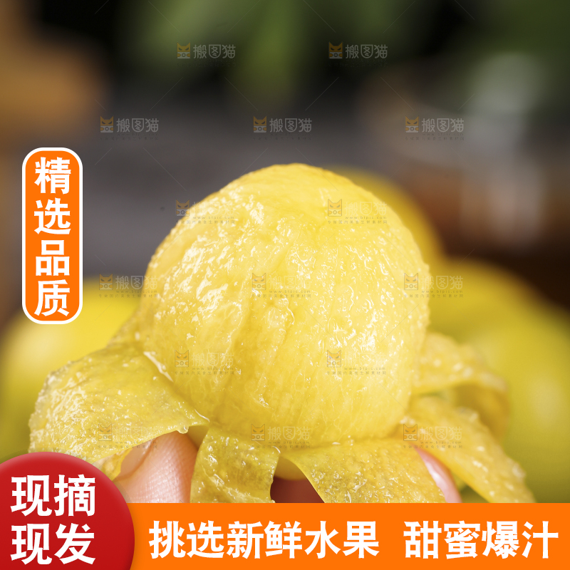 手上拿着的小白杏